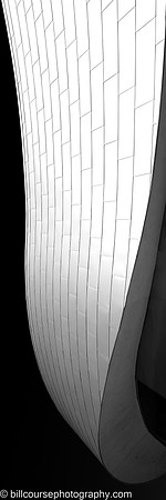 20231020-_BCZ9453-Edit