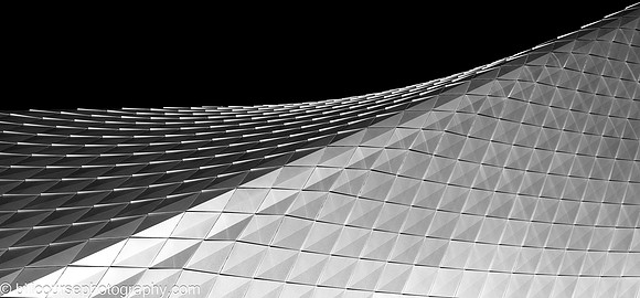 20231021-_BCZ9459-Edit
