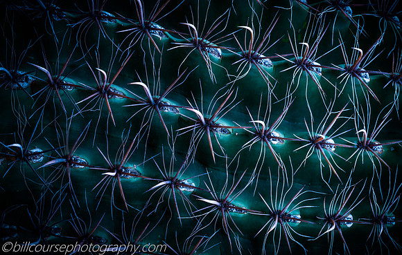 Starbursts-1